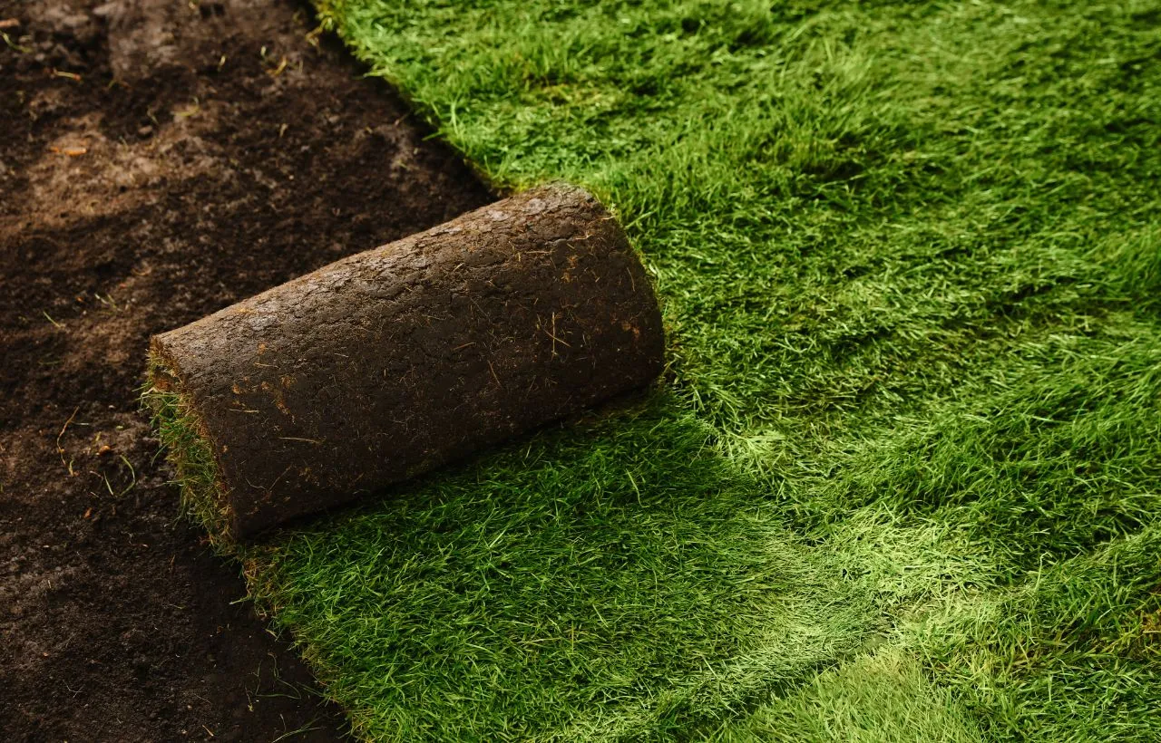 Installation Projekt